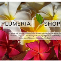Plumeria Frangipani Online Shop